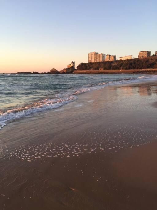 Appartement Cote Des Basques Biarritz Bagian luar foto
