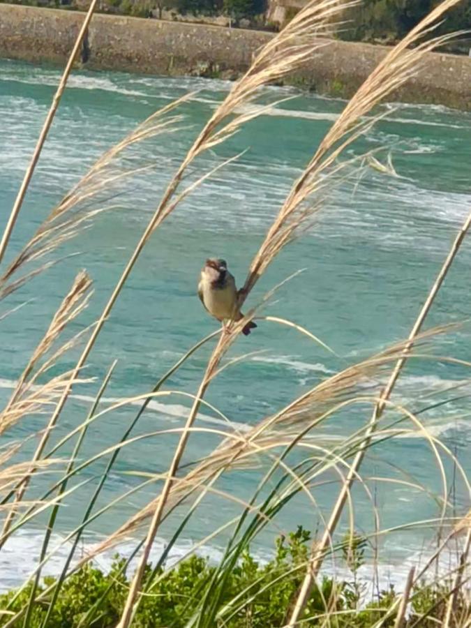 Appartement Cote Des Basques Biarritz Bagian luar foto